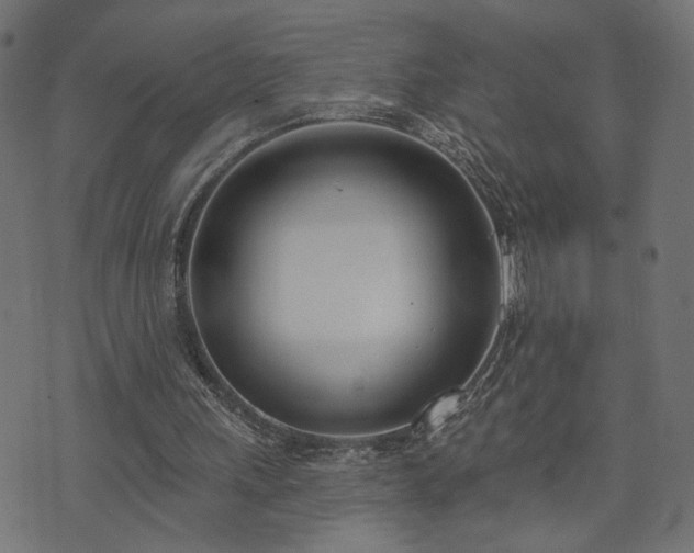 X0000073870243200608171014