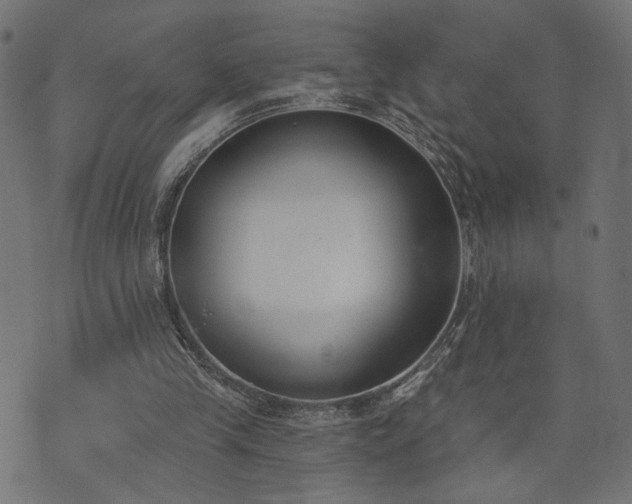 X0000073870245200608171014