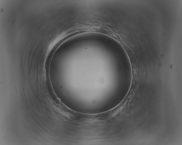 X0000073870246200608171014