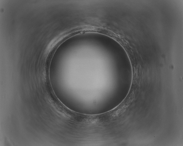 X0000073870247200608171014