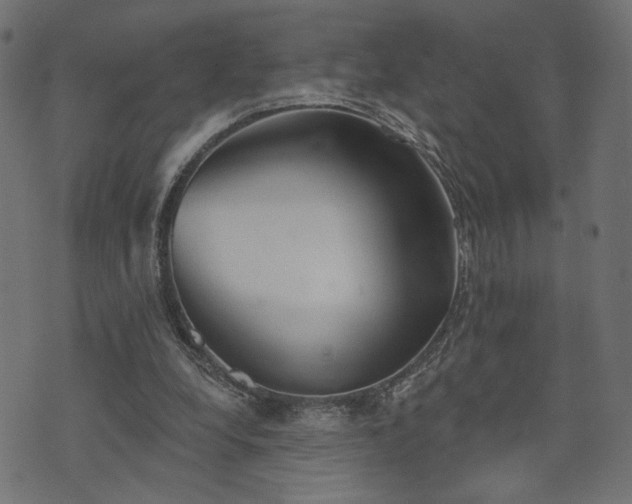 X0000073870248200608171014