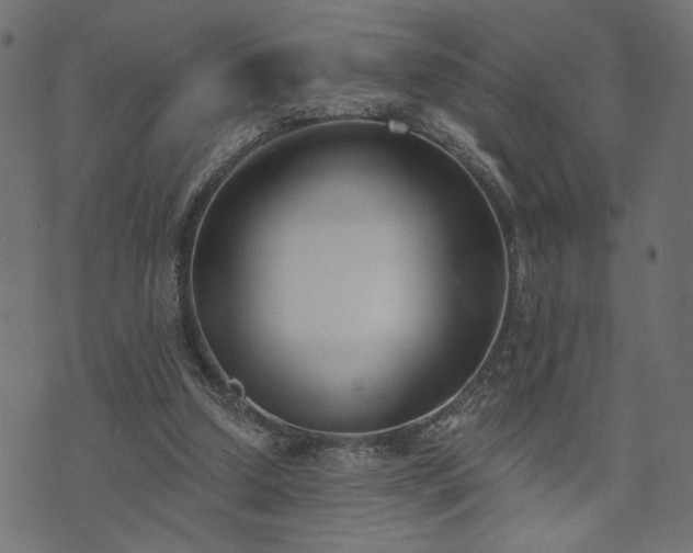 X0000073870250200608171015