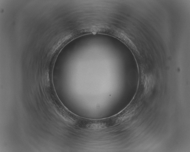 X0000073870251200608171015