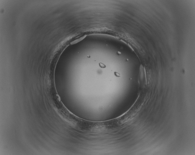 X0000073870252200608171015