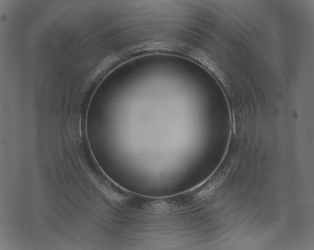 X0000073870253200608171015