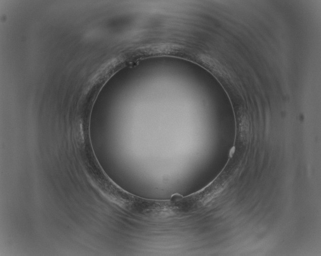 X0000073870254200608171015