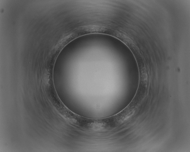 X0000073870255200608171015