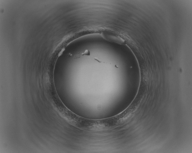 X0000073870256200608171015