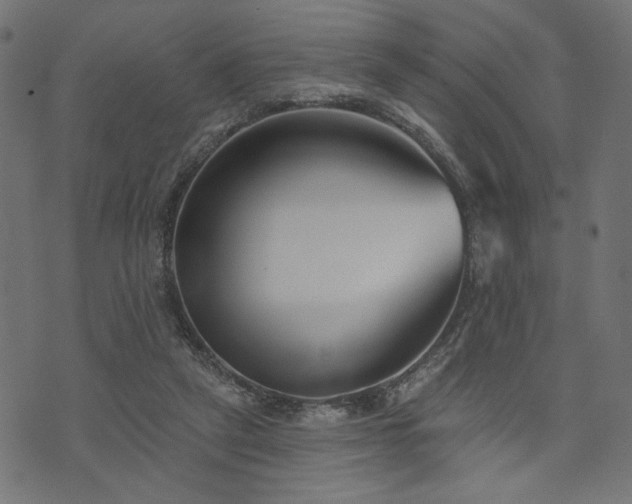 X0000073870257200608171015