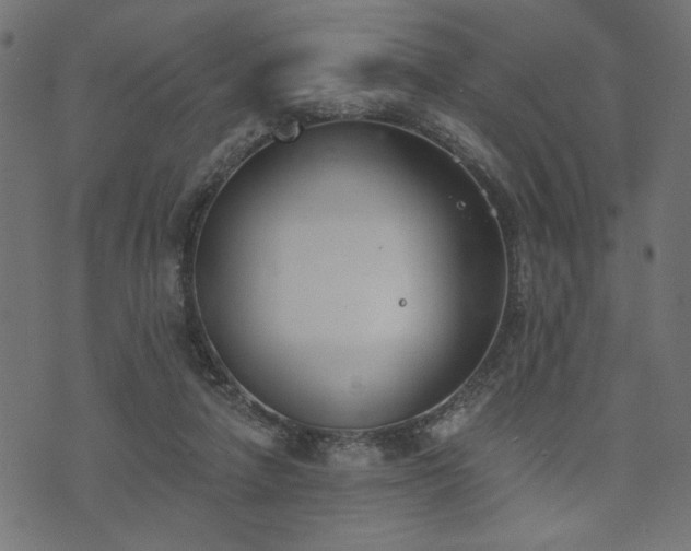 X0000073870258200608171015