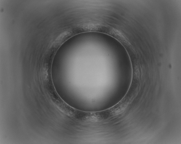 X0000073870259200608171015