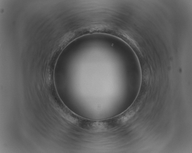 X0000073870261200608171015