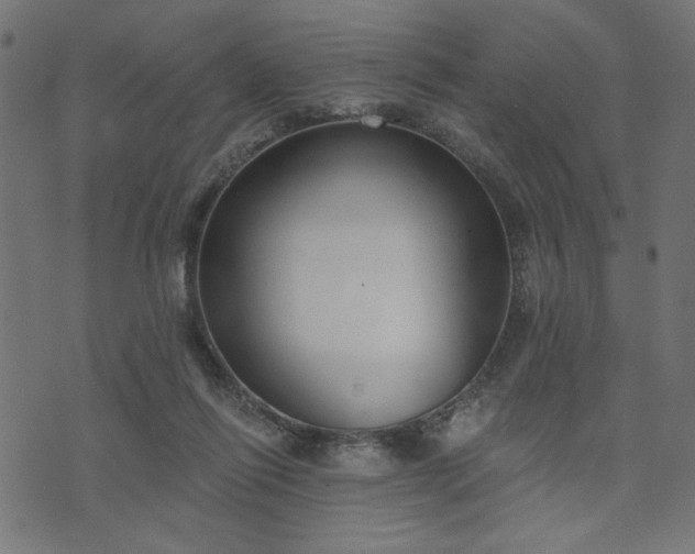 X0000073870262200608171015