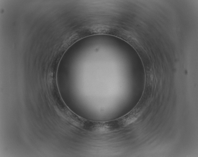 X0000073870263200608171015