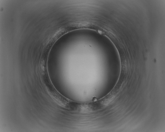 X0000073870264200608171015