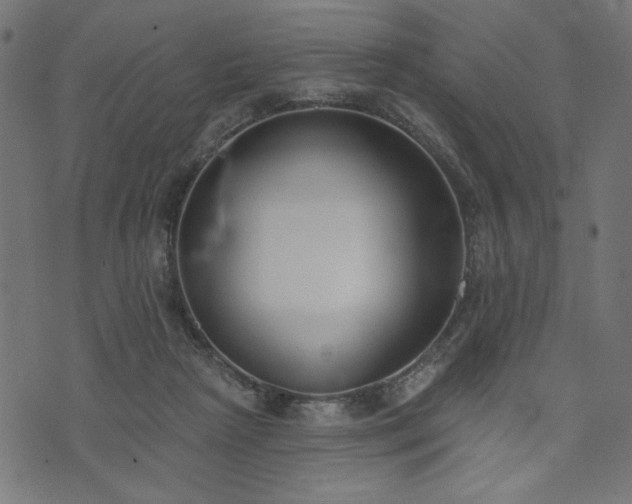 X0000073870265200608171015