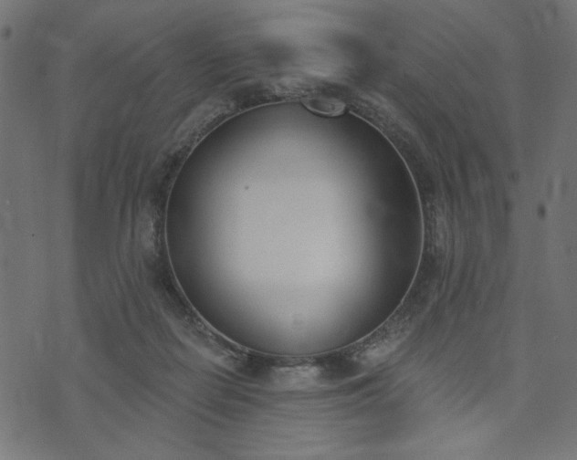 X0000073870266200608171015