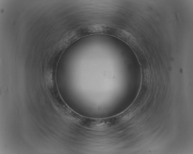 X0000073870267200608171015