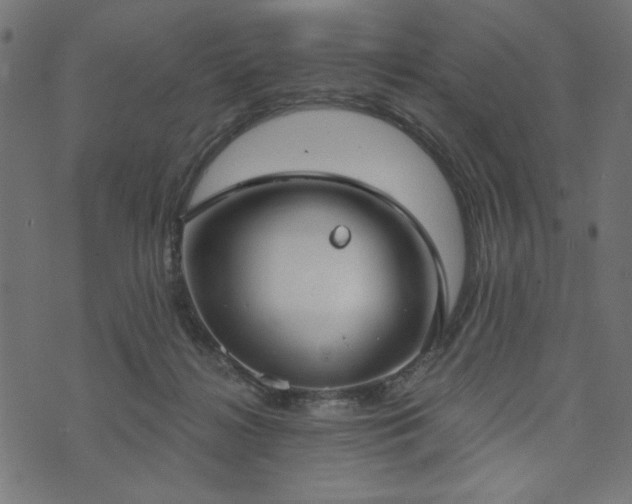 X0000073870268200608171015