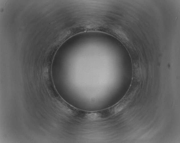 X0000073870269200608171015