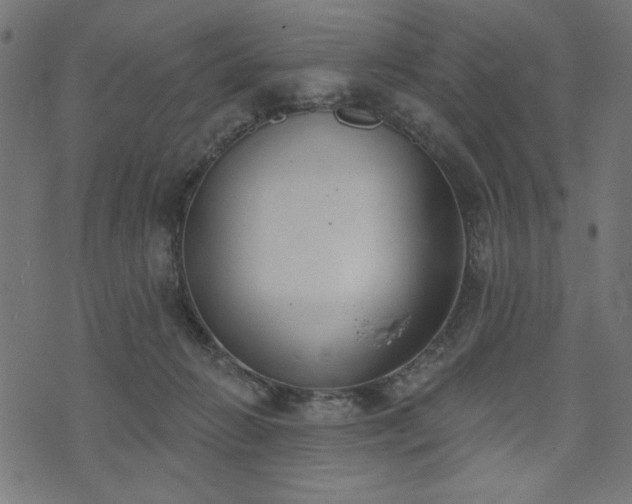 X0000073870270200608171015