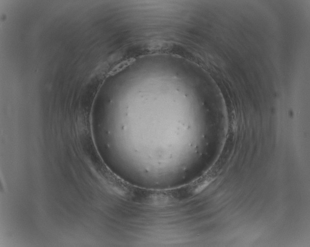 X0000073870272200608171015