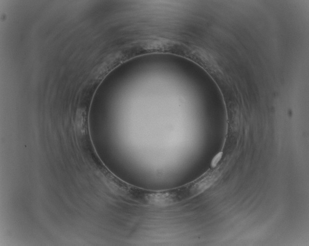 X0000073870273200608171015