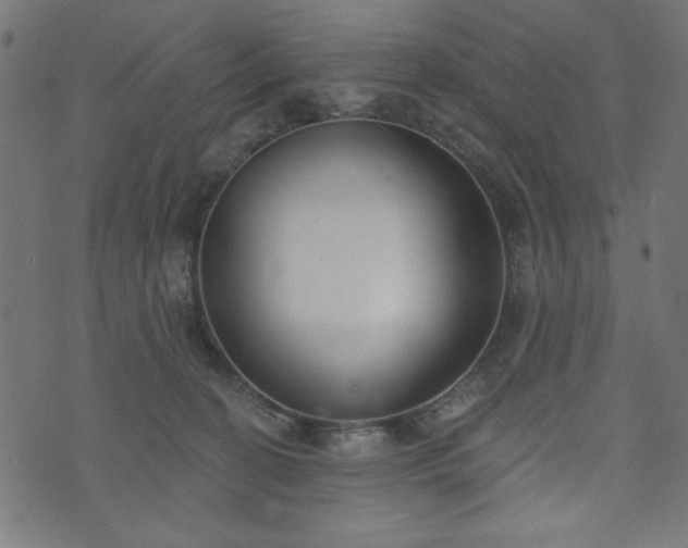 X0000073870274200608171015