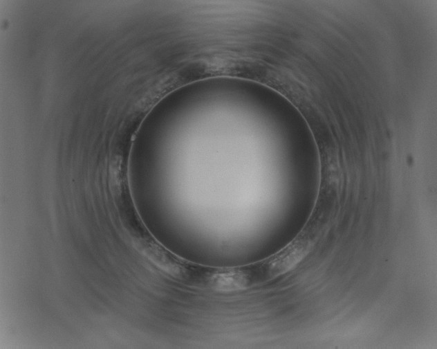 X0000073870275200608171015