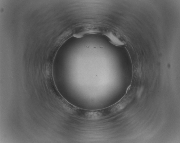 X0000073870277200608171015