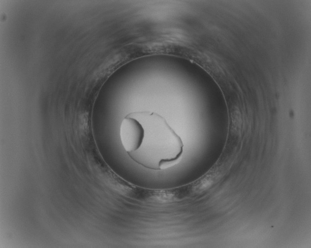 X0000073870278200608171015