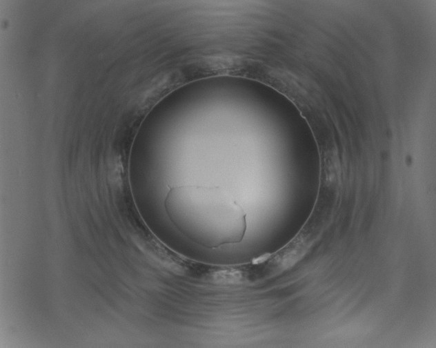 X0000073870279200608171015