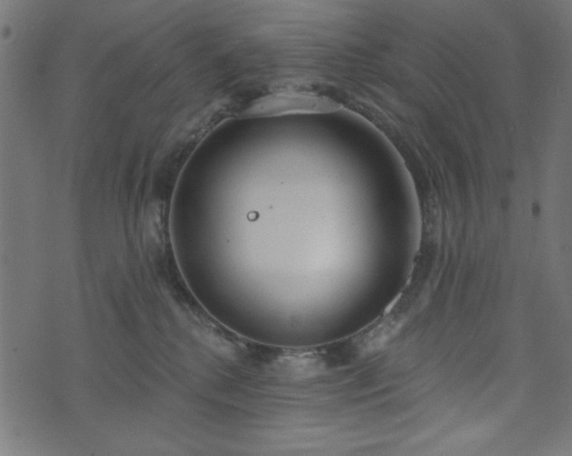 X0000073870280200608171015