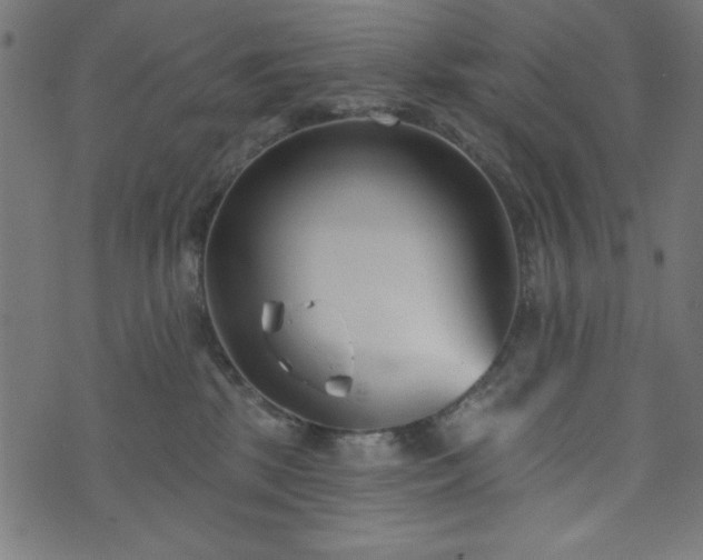 X0000073870281200608171015