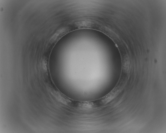 X0000073870282200608171015