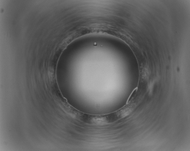 X0000073870283200608171015