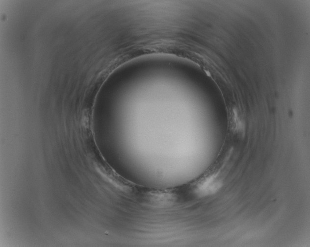 X0000073870284200608171015