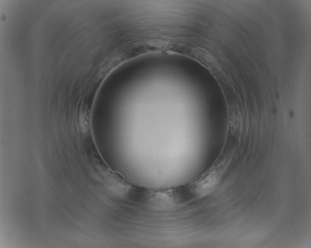 X0000073870285200608171015