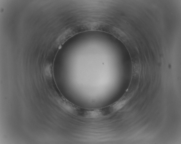 X0000073870286200608171015