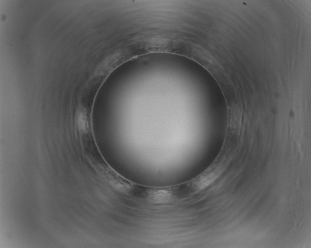 X0000073870287200608171015