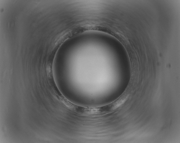 X0000073870288200608171015