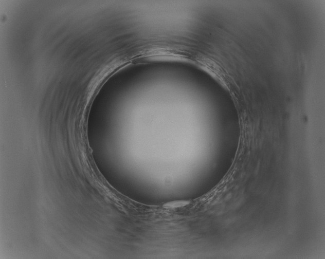 X0000073870289200608171014