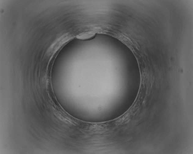 X0000073870290200608171014