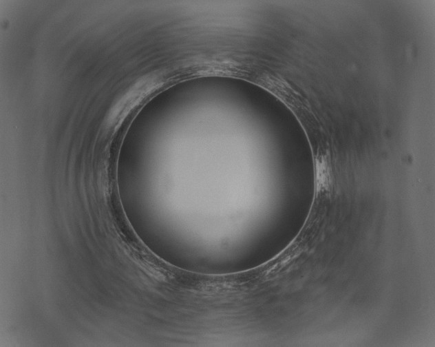 X0000073870291200608171014