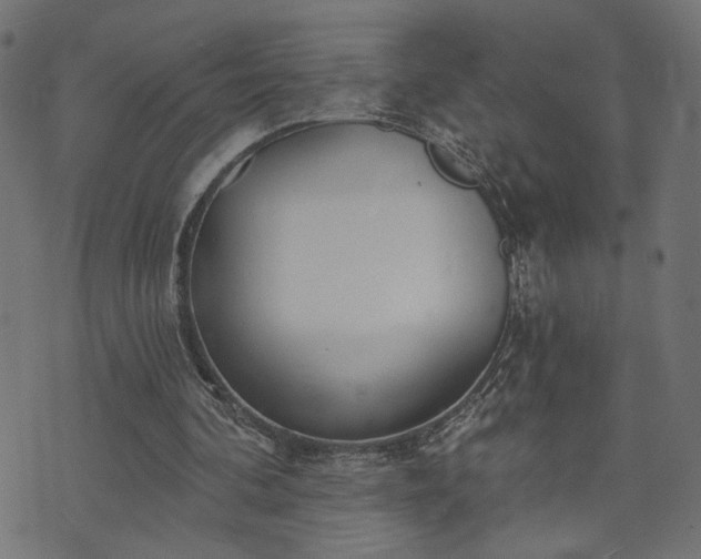 X0000073870292200608171014