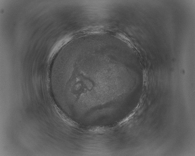 X0000073870293200608171014