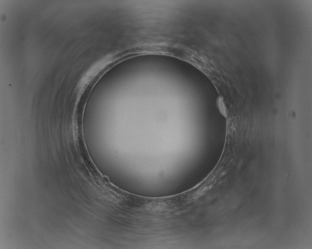 X0000073870294200608171014