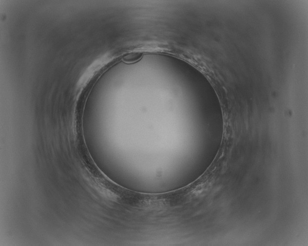 X0000073870296200608171014