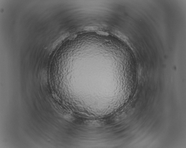 X0000073870297200608171014