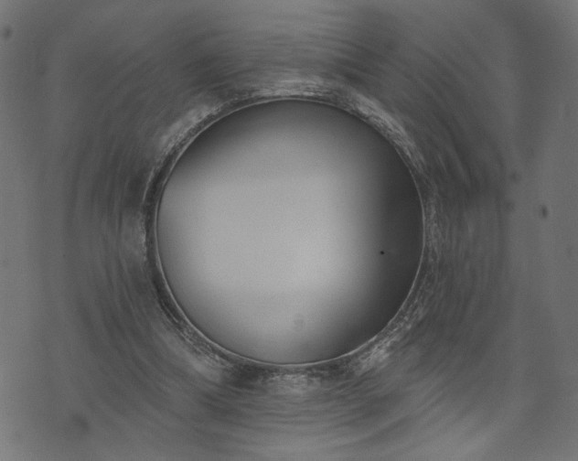 X0000073870298200608171014